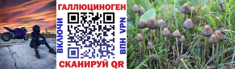 Галлюциногенные грибы прущие грибы  Казань 