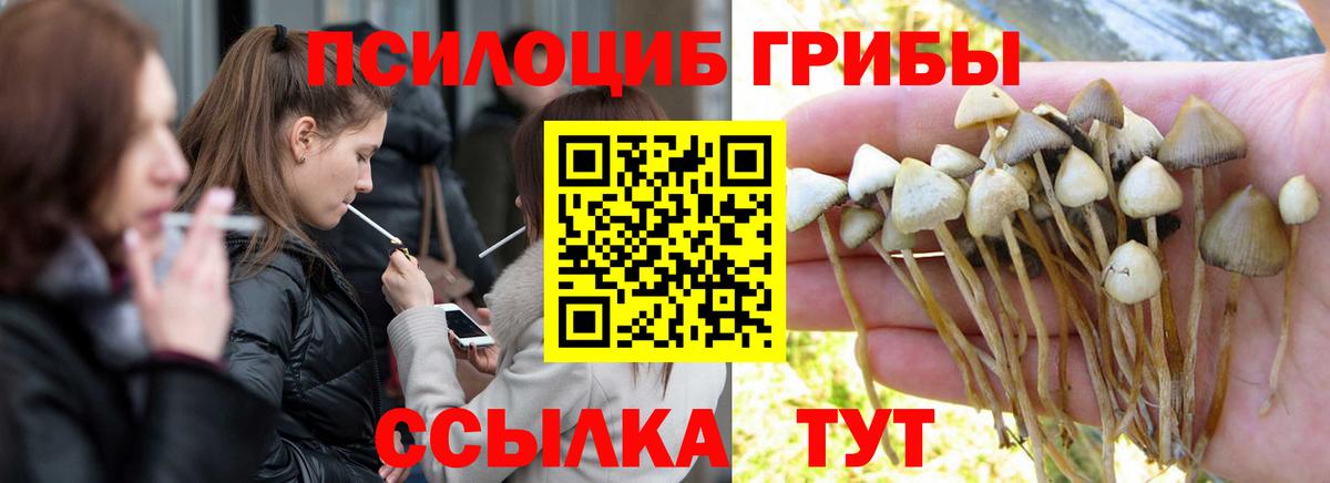 Псилоцибиновые грибы MAGIC MUSHROOMS  Вход с VPN  Казань 